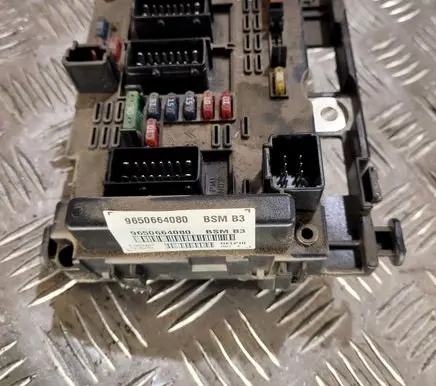 Peugeot 307 BSM Control unit 9650664080