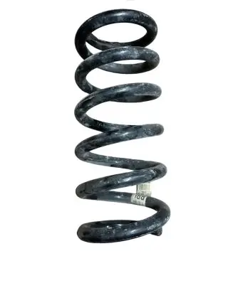 Ford Mustang V Rear coil spring FR3C5560LA FR3C5560 FR3C5560L