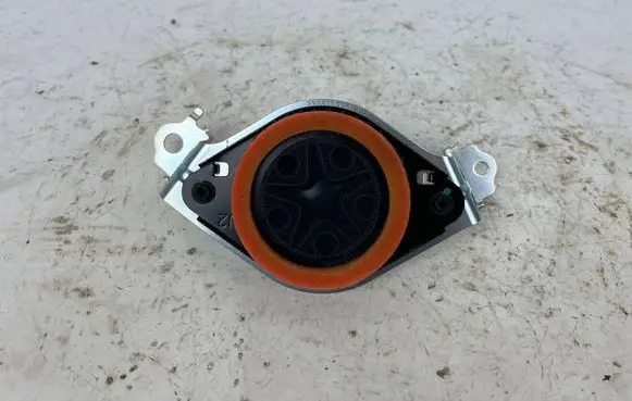 Rear door speaker