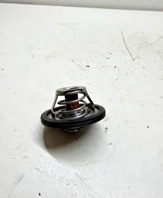 KIA Sportage Thermostat 981323