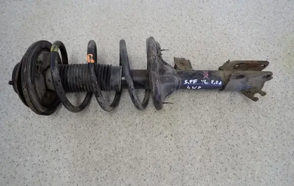 Hyundai Santa Fe Front shock absorber with coil spring 