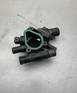 Thermostat/thermostat housing