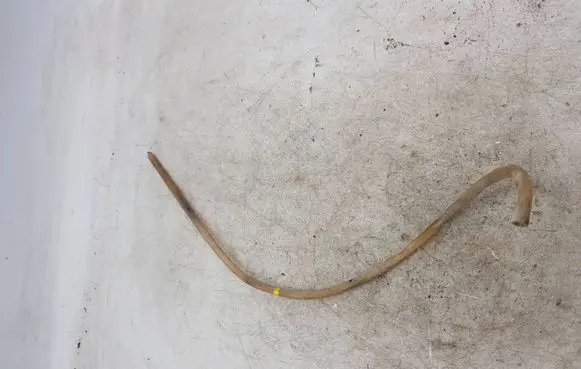 Nissan X-Trail T30 Rear window washer fluid hose NOCODE