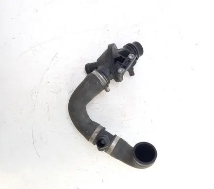 Thermostat/thermostat housing
