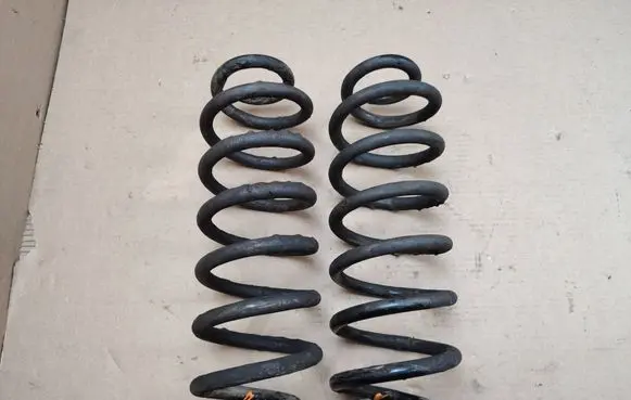 Volkswagen PASSAT B6 Rear coil spring 