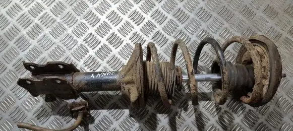 Nissan Sunny Front shock absorber/damper