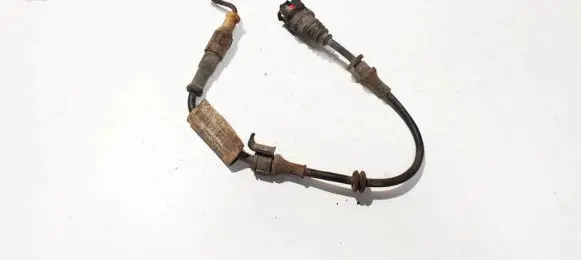 Opel Vectra C Other wiring loom 24418887
