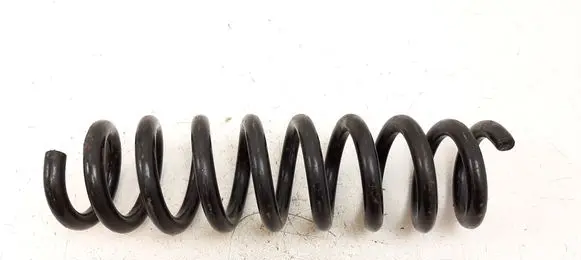Rear coil spring