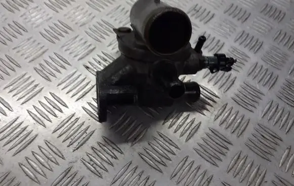 Thermostat/thermostat housing