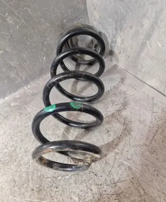 Rear coil spring