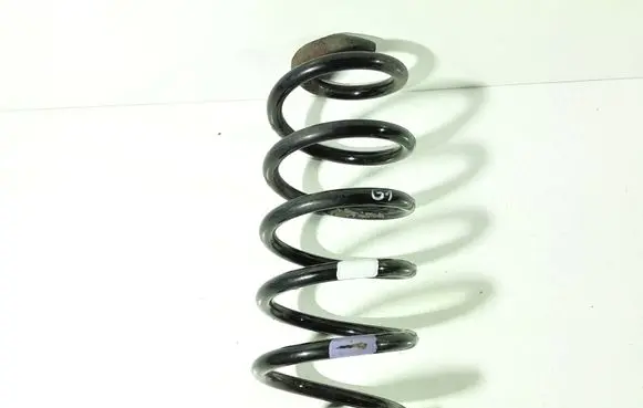 Rear coil spring