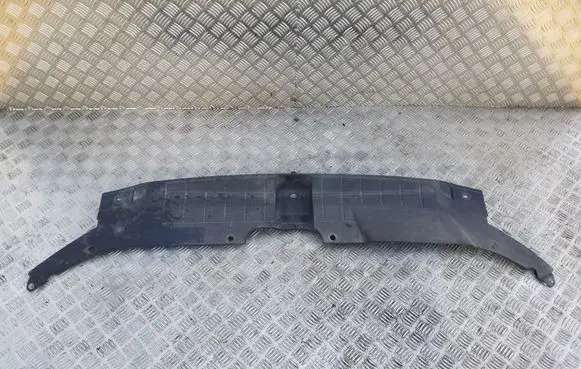 Engine bonnet/hood lock trim molding