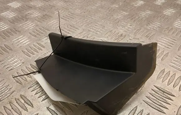 Rear/tail light trim molding