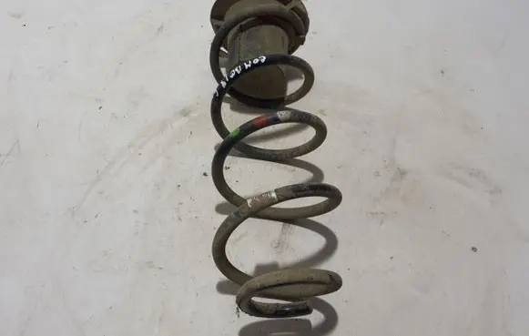 Rear coil spring