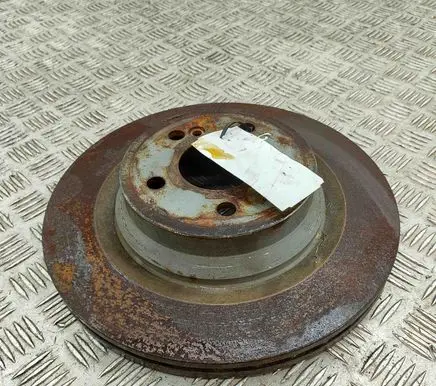 Mercedes-Benz CLS C218 X218 Rear brake disc A2194260012