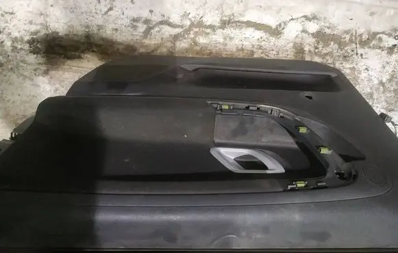Skoda Roomster (5J) Rear door card panel trim 