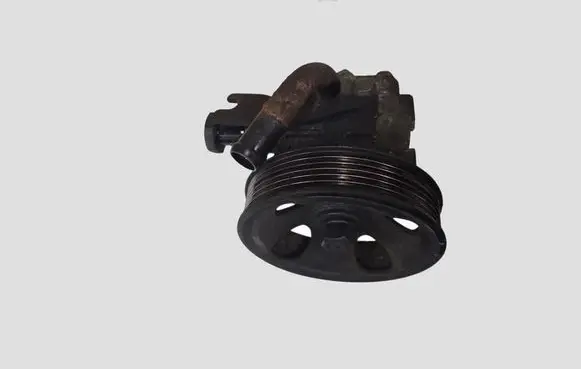 Hyundai Santa Fe Power steering pump