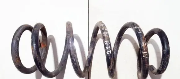 Rear coil spring