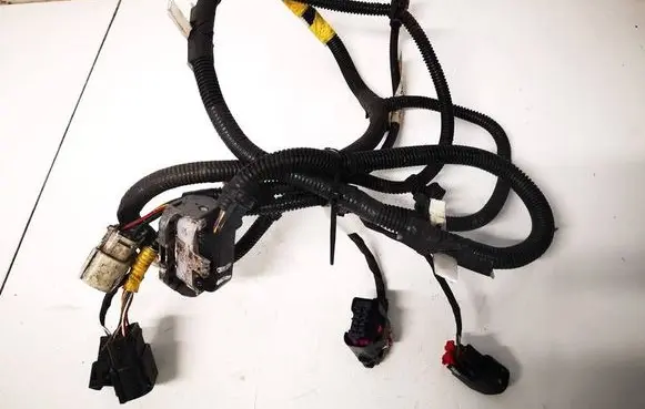 Tesla Model 3 Other wiring loom 206796801B