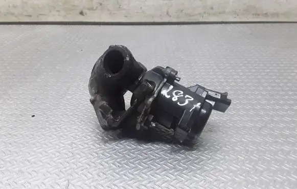 Ford Fiesta EGR valve 98188 A0065801