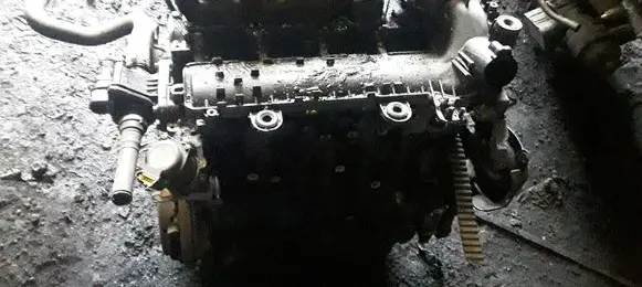 Peugeot 206 Engine ZH8