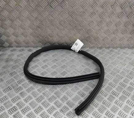 Mercedes-Benz AMG GT R190 C190 Rubber seal front door (on door) A1906970451