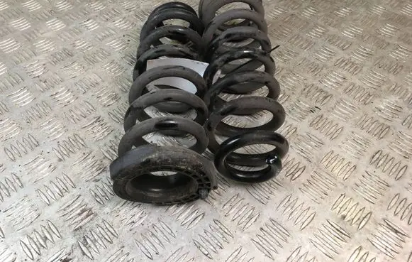 Rear coil spring