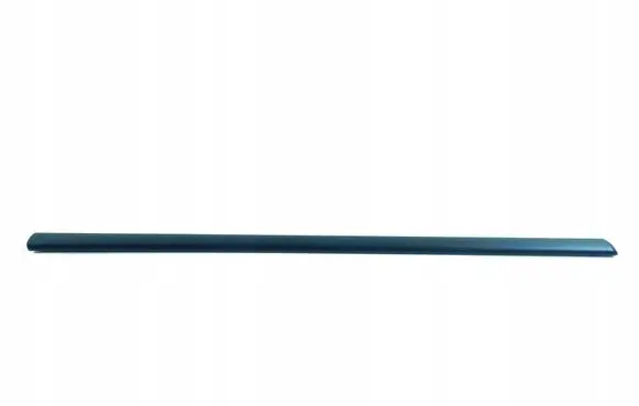 Fiat Punto (199) Rear door windshield rail 46720784