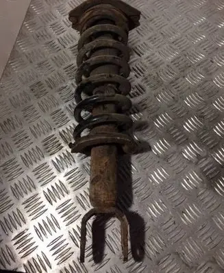 Subaru Tribeca Rear shock absorber with coil spring 