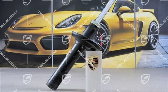 Porsche Cayman 987 Rear shock absorber/damper 98733305120