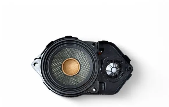 BMW X4 F26 Panel speaker 188200 434107867181