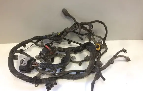 Engine installation wiring loom