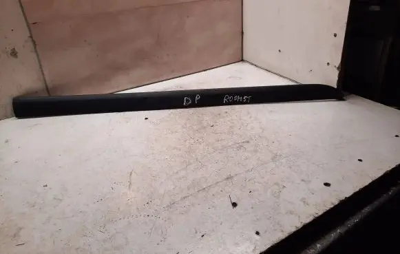 Front door trim (molding)