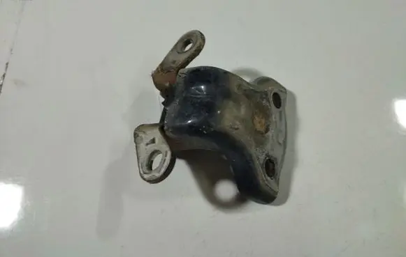 Chevrolet Captiva Rear door lower hinge 