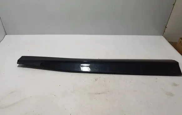 Ford Mach-E I Front door trim (molding) LJ8BR20848DAW