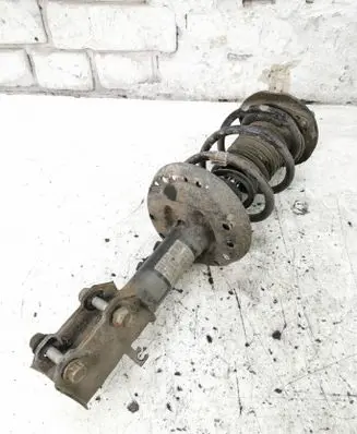 Opel Astra K Front shock absorber with coil spring 39039574 824903014620 722559783