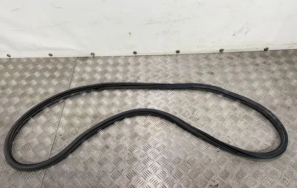 Seat Arona Rear door rubber seal (on body) 