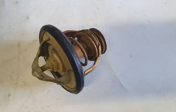 Thermostat/thermostat housing