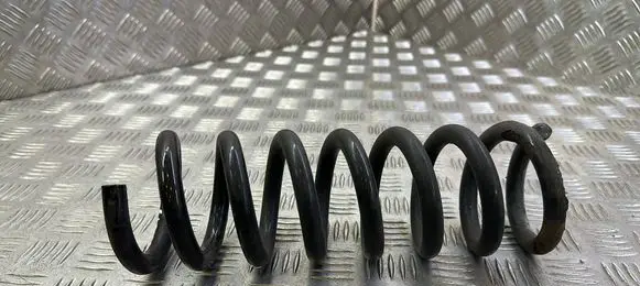 Rear coil spring