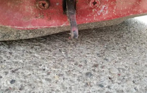 Mitsubishi Colt Front door check strap stopper 