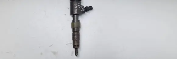 Citroen C3 Fuel injector 0445110339