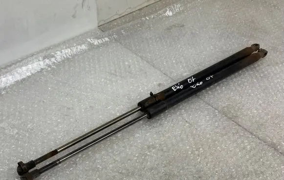 Tailgate/trunk strut/damper