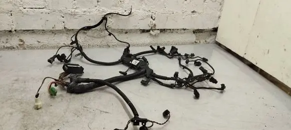 Engine installation wiring loom