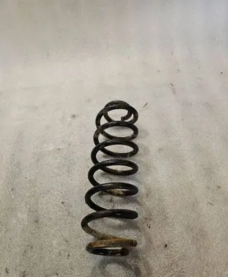 Volkswagen PASSAT B6 Rear coil spring