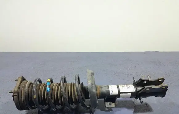 Fiat Fiorino Front shock absorber with coil spring 315126