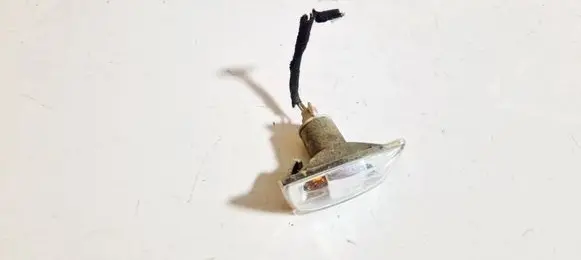 Front fender indicator light