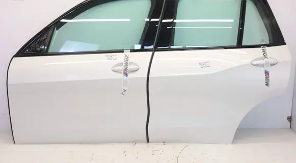 BMW X5 G05 Front door 8738551MWGK2A96 8738551