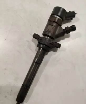 Citroen Berlingo Fuel injector 0445110239
