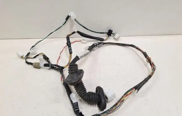 Rear door wiring loom