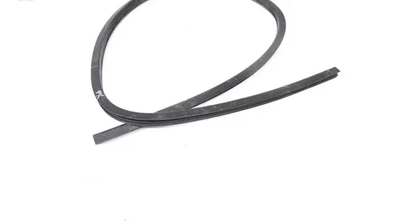 BMW X1 E84 Rubber seal front coupe door 